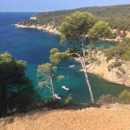 Sanary Sur Mer Appartement 30M2 T2 Avec Terrasse Piscine 10Min A Pied De La Plage Exteriér fotografie